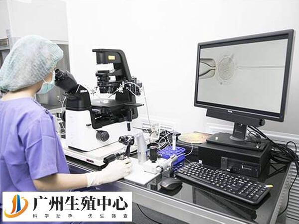 试管实验室操作费用需要一万多