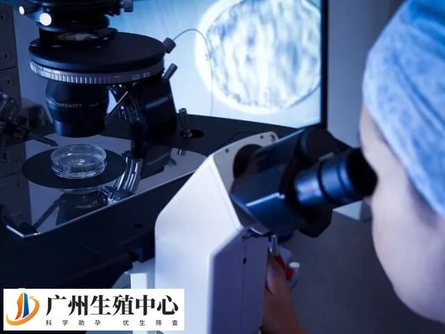 三代试管技术更为先进
