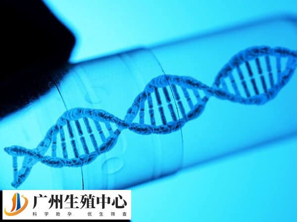 三代试管婴儿流程与常规试管婴儿类似