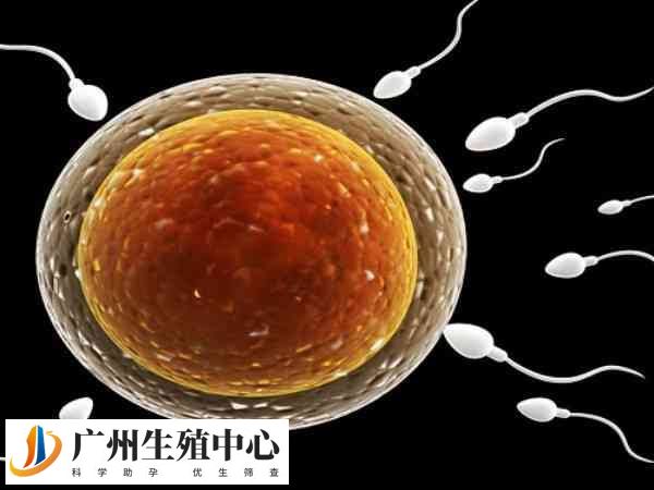 人工受孕成功率在百分之50以上