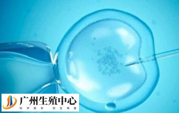 移植鲜胚的成功率受较多因素的影响