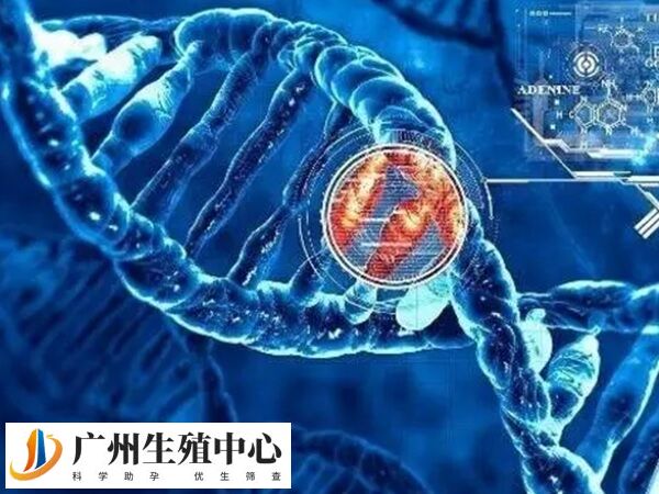 TTC21A基因又叫四肽重复蛋白21A