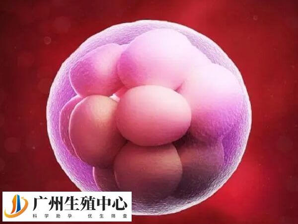 囊胚可能培养失败