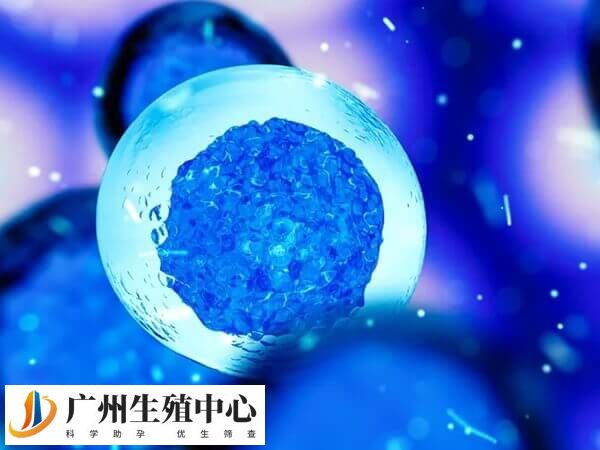 试管婴儿是否开始减药要看激素水平