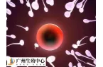 畸形精子能不能做试管婴儿